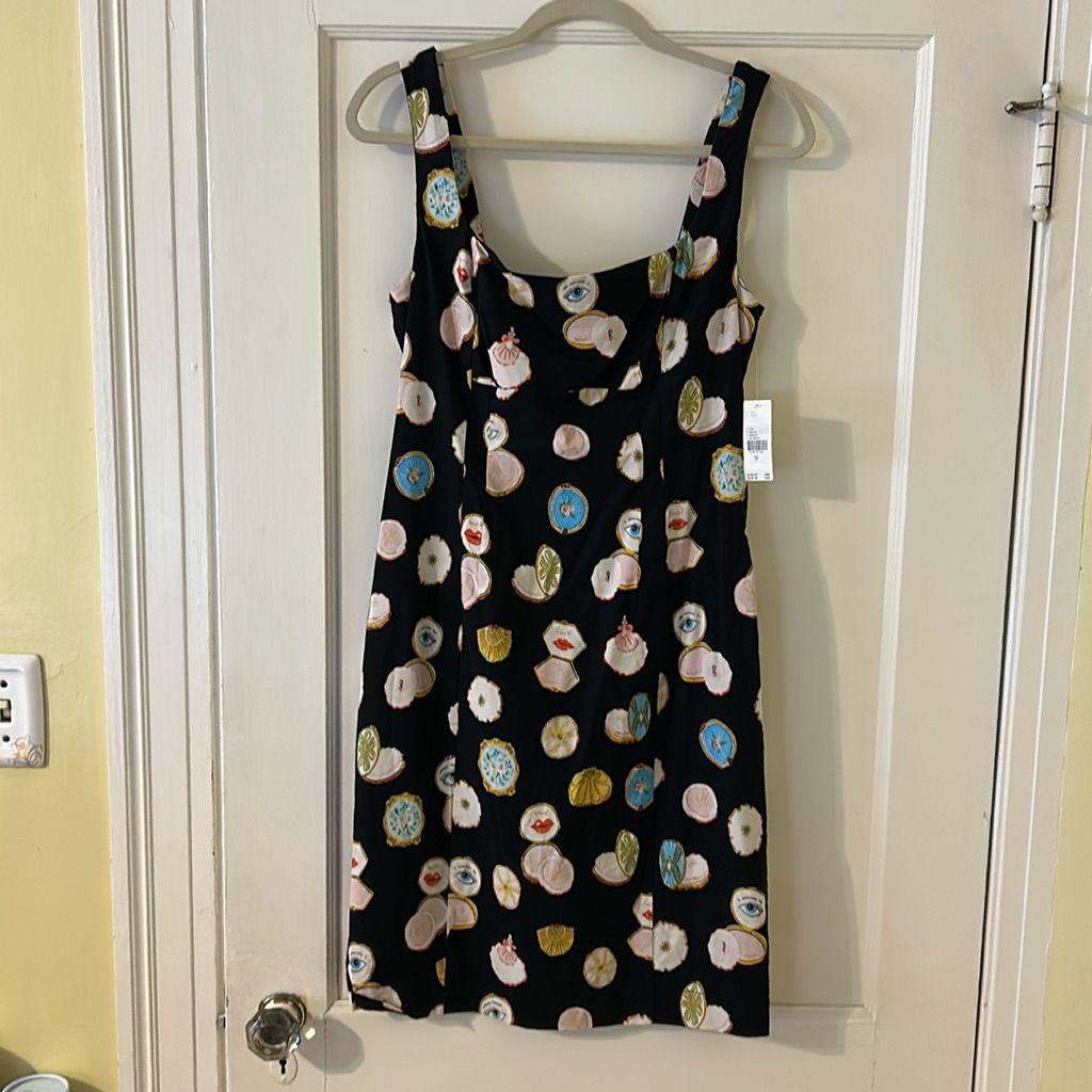 Nwt Anthropologie “Maeve” Daniel Kroll Artwork Dress Size Medium.
